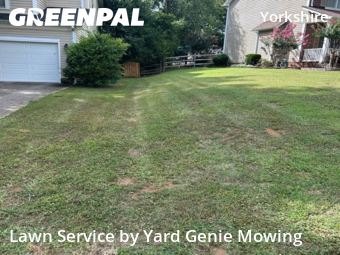 Yard Mowing nearby Charlotte, NC, 