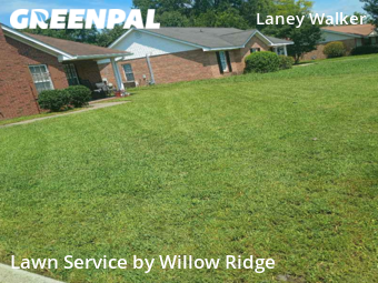 Lawn Cut nearby Augusta, GA, 