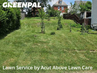 Yard Maintenance in Ross Township, 15202, Mowing Services by Acut Above Lawn Care, work completed in Oct , 2025