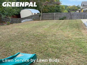 Lawn Maintenance nearby Charlotte, NC, 