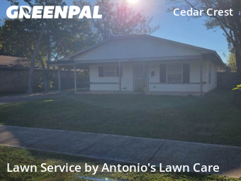 Lawn Care Servicein Dallas,75216,Lawn Care Service by Antonio's Lawn Care, work completed in Nov , 2025