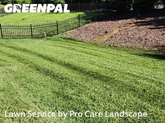 Lawn Cuttingin Concord,28025,Grass Cut by Pro Care Landscape , work completed in Jun , 2026