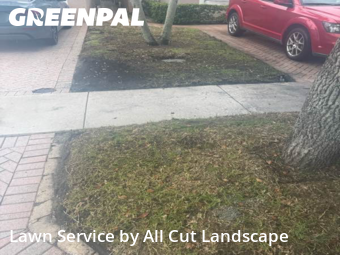 Grass Cut nearby Sunrise, FL, 