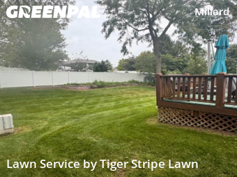 Lawn Care nearby Omaha, NE, 