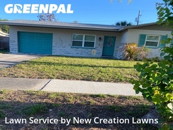 Grass Cut nearby Brandon, FL, 