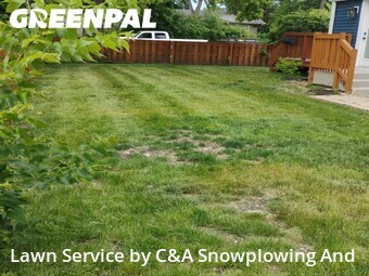 Lawn Cutting nearby Des Plaines, IL, 