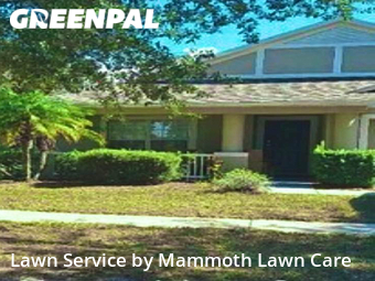Lawn Mowing nearby Riverview, FL, 