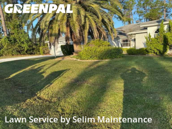 Yard Cutting nearby Palm Coast, FL, 