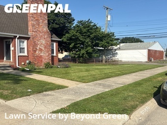 Yard Cutting nearby Allen Park, MI, 