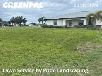 Lawn Cutting nearby Cape Coral, FL, 