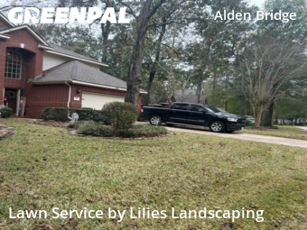 Lawn Servicein Conroe,77384,Lawn Service by Lilies Landscaping, work completed in Dec , 2025