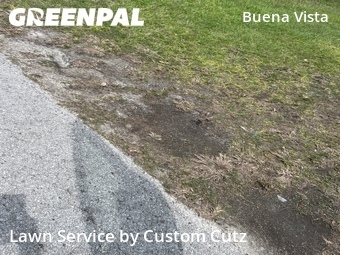 Grass Cutting nearby Holiday, FL, 