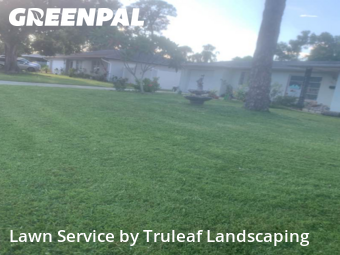 Lawn Mow nearby Bradenton, FL, 