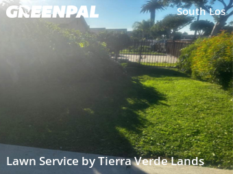 Lawn Mowing nearby Los Angeles, CA, 