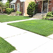 affordable-lawn-services-in-Harvey-IL