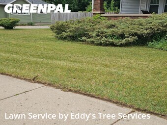 Affordable Landscaping In Grand Rapids,49548,Landscaping Installation by Eddy's Tree Services, work completed in Jun , 2026