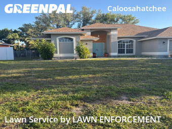 Grass Cutting nearby Cape Coral, FL, 