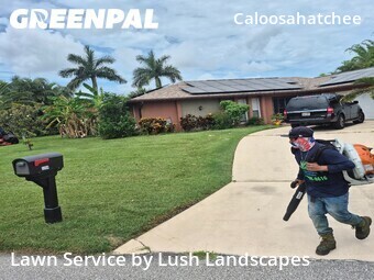 Lawn Mow nearby Cape Coral, FL, 