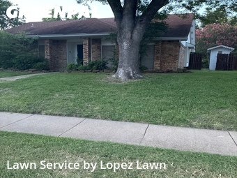 Grass Cut nearby Grand Prairie, TX, 