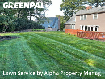 Grass Cut nearby Farmington, CT, 