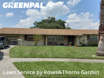 Yard Cutting nearby Union Park, FL, 