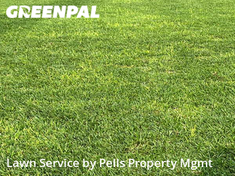 Yard Cutting nearby Ann Arbor, MI, 