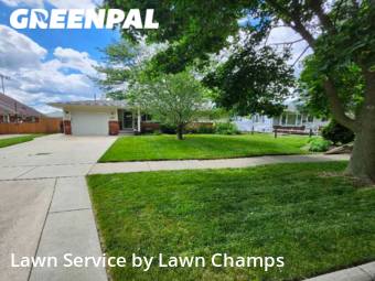 Grass Cutting nearby Maumee, OH, 