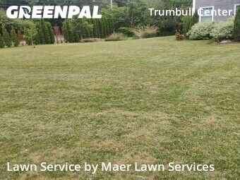 Lawn mowed in Trumbull, 6611