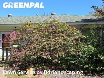 Yard Cutting nearby Charleston, SC, 