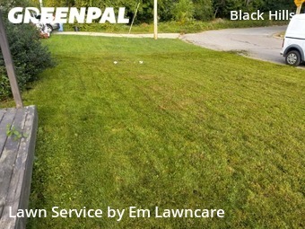 Lawn Cut nearby Grand Rapids, MI, 