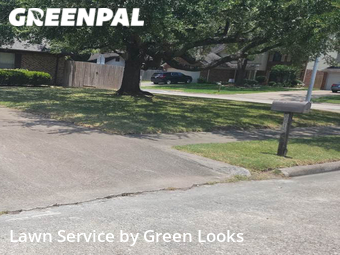 Grass Cutting nearby Pasadena, TX, 