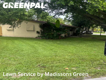 Yard Mowing nearby West Palm Beach, FL, 