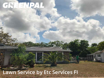 Grass Cutting in Bayonet Point, 34668, Landscaping Maintenance by Etc Services Fl, work completed in Nov , 2025