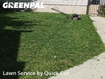 Yard Cutting nearby Chicago, IL, 