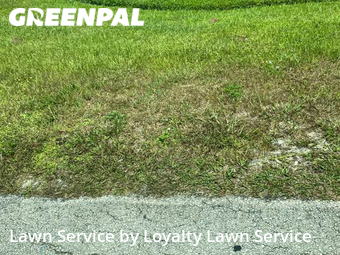 Lawn Service nearby Port St. Lucie, FL, 