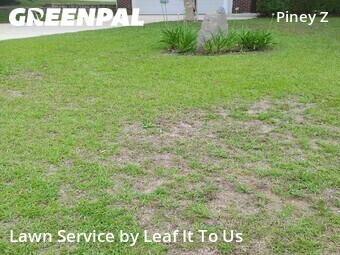 Lawn Mow nearby Tallahassee, FL, 