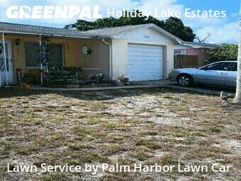 Lawn Care nearby Holiday, FL, 