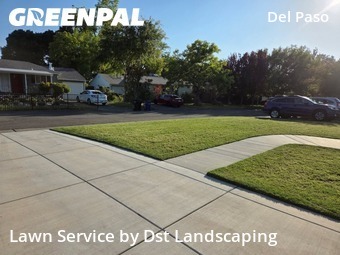 Yard Cutting nearby Sacramento, CA, 