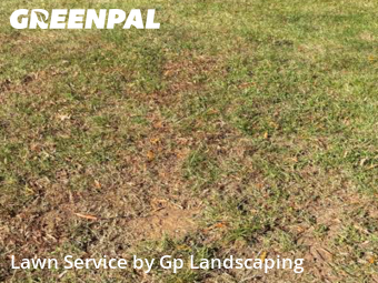 Lawn Cutting nearby Charlotte, NC, 