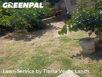 Grass Cut nearby Rosemead, CA, 