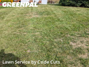 Yard Cutting nearby Pittsburgh, PA, 