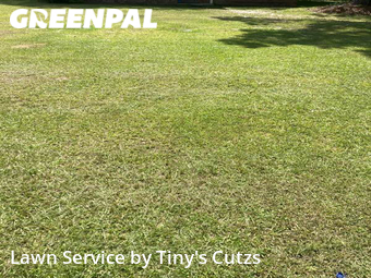 Grass Cutting nearby Valdosta, GA, 