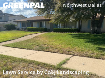 Lawn Cut nearby Dallas, TX, 