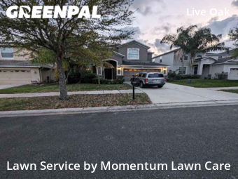 Lawn Mow nearby Tampa, FL, 