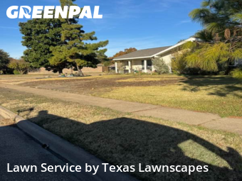 Lawn Maintenancein Richardson,75081,Yard Cutting by Texas Lawnscapes, work completed in Dec , 2025