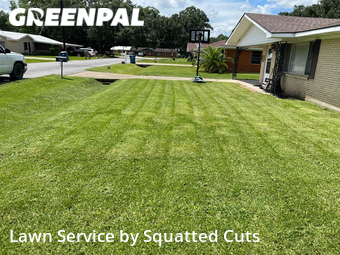 Lawn Mowing nearby Lafayette, LA, 