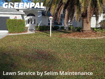 Weed Trimming in Palm Coast, 32137, Yard Mowing by Selim Maintenance, work completed in Dec , 2025