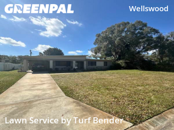 Lawn Care Service nearby Tampa, FL, 