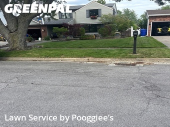 Lawn Mowing nearby Buffalo, NY, 