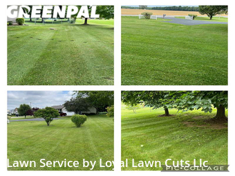 Lawn Cutting nearby Vermilion, OH, 
